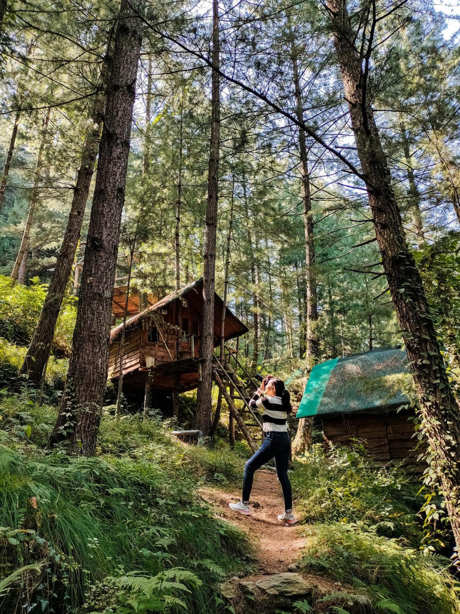 Livingstone Ojuven Treehouses Shimla Ngoại thất bức ảnh
