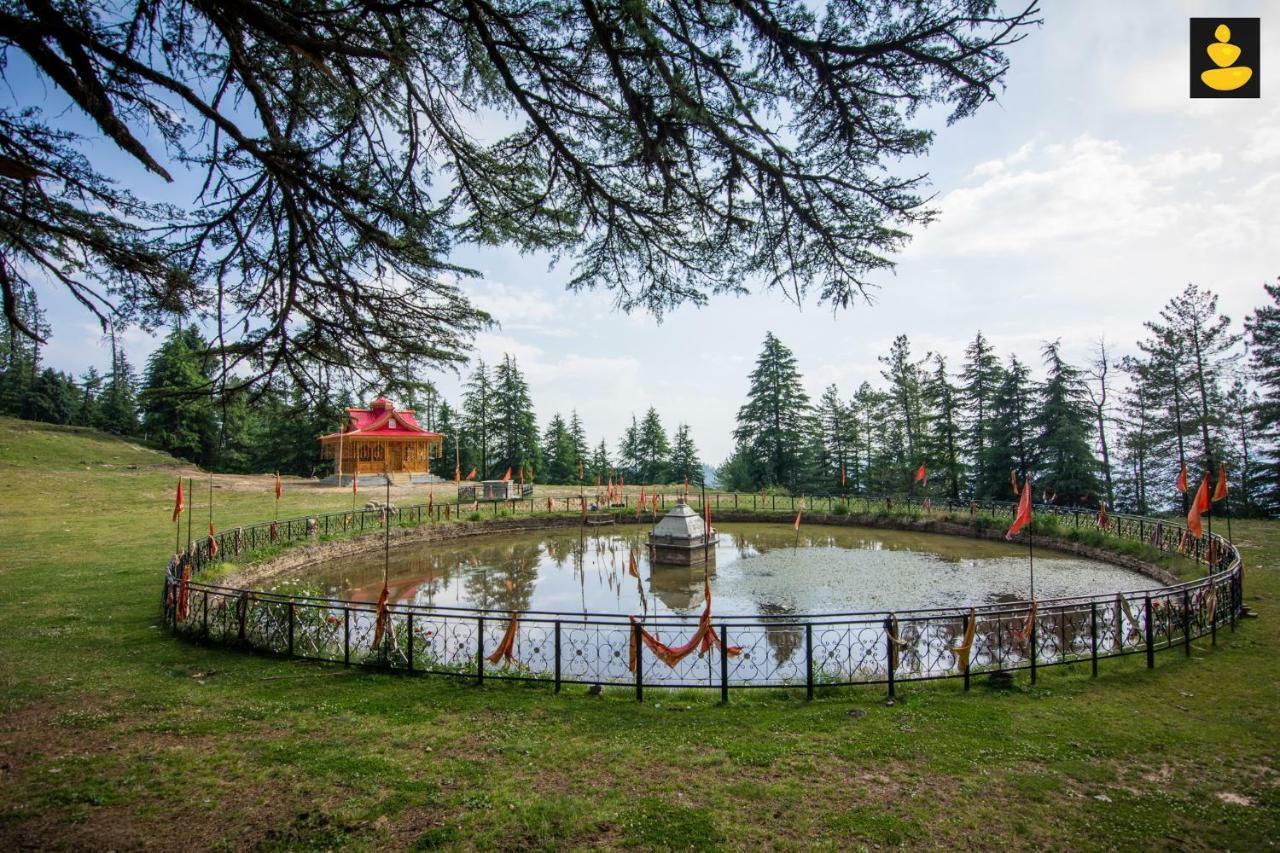 Livingstone Ojuven Treehouses Shimla Ngoại thất bức ảnh